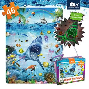 shark puzzle